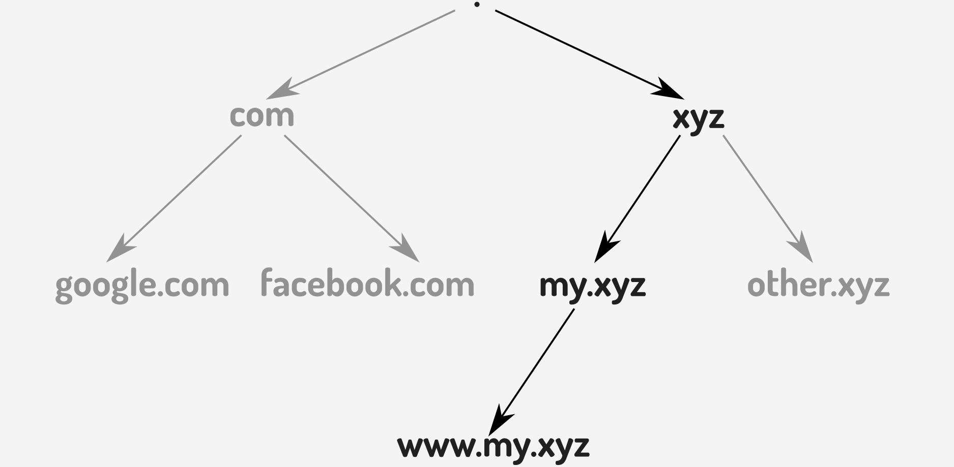 DNS hierarchy showing the path from the DNS root to www.my.xyz