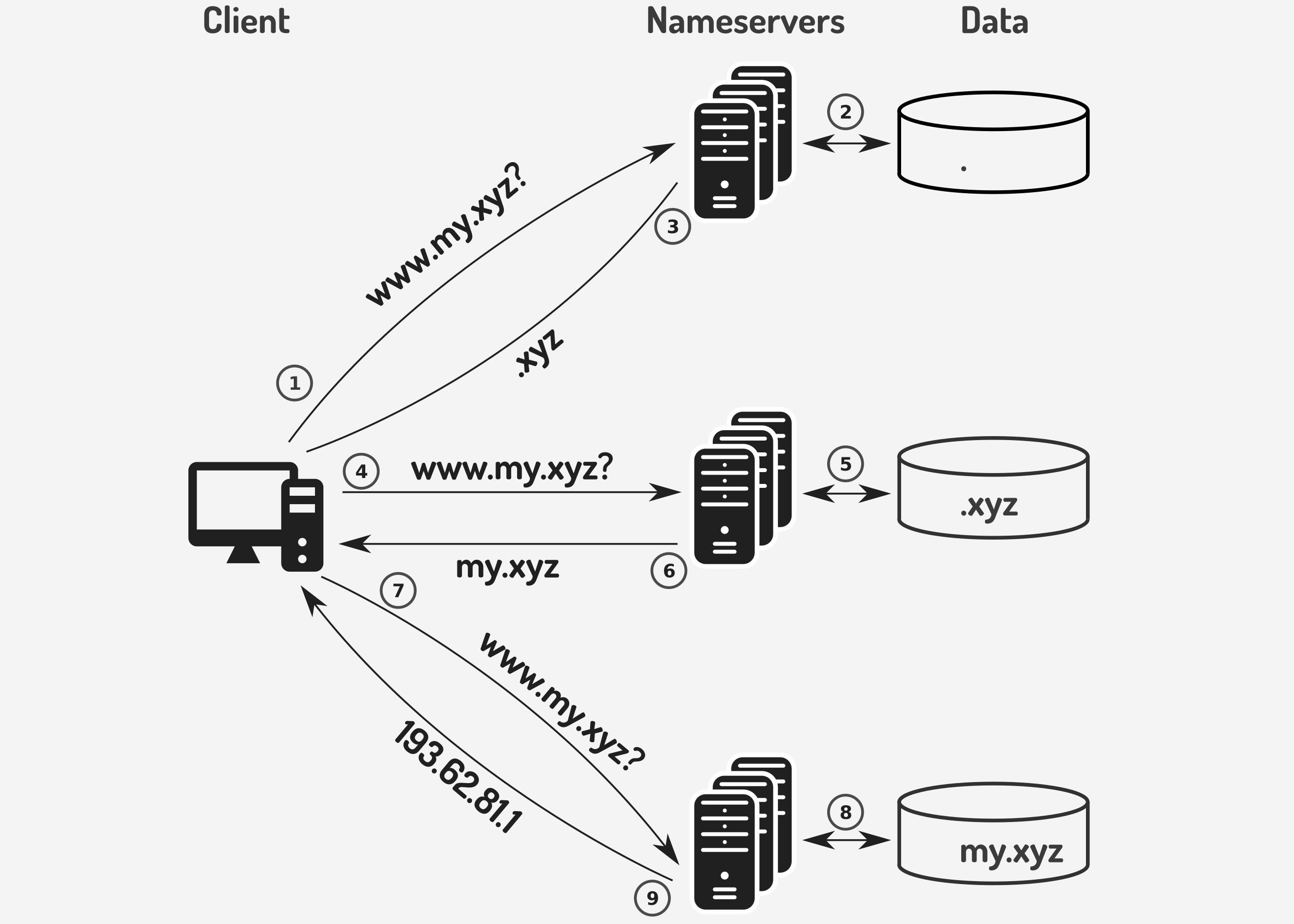 Resolving the address of www.my.xyz